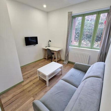 T1 Bis 1 Chambre Saint-Etienne  Ngoại thất bức ảnh