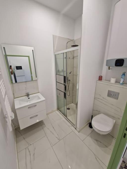 T1 Bis 1 Chambre Saint-Etienne  Ngoại thất bức ảnh