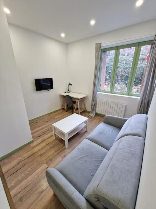 T1 Bis 1 Chambre Saint-Etienne  Ngoại thất bức ảnh