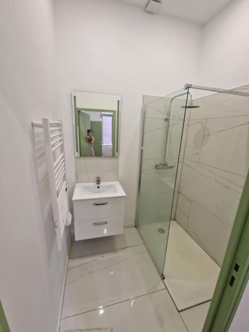 T1 Bis 1 Chambre Saint-Etienne  Ngoại thất bức ảnh